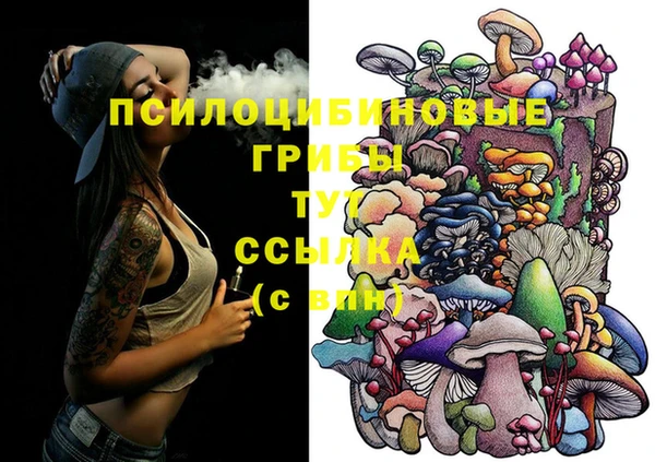ешки Семёнов
