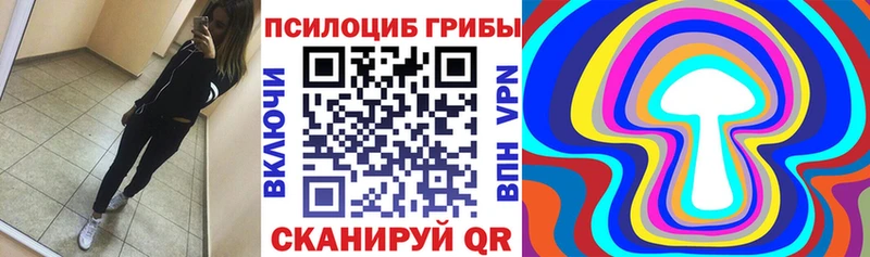 Галлюциногенные грибы MAGIC MUSHROOMS  дарк нет состав  Фокино 
