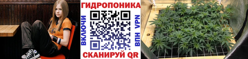 Шишки марихуана AK-47  Фокино 